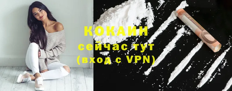 COCAIN Fish Scale  продажа наркотиков  Шагонар 