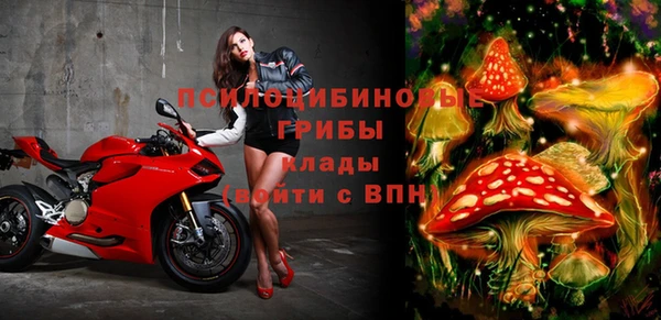 мескалин Касимов