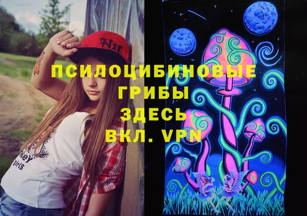 марки nbome Каменногорск