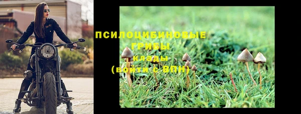 мескалин Касимов