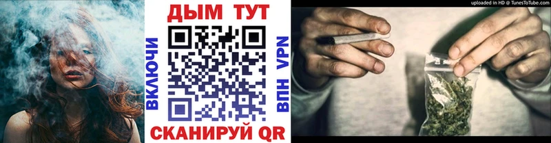 Бошки Шишки семена  Шагонар 